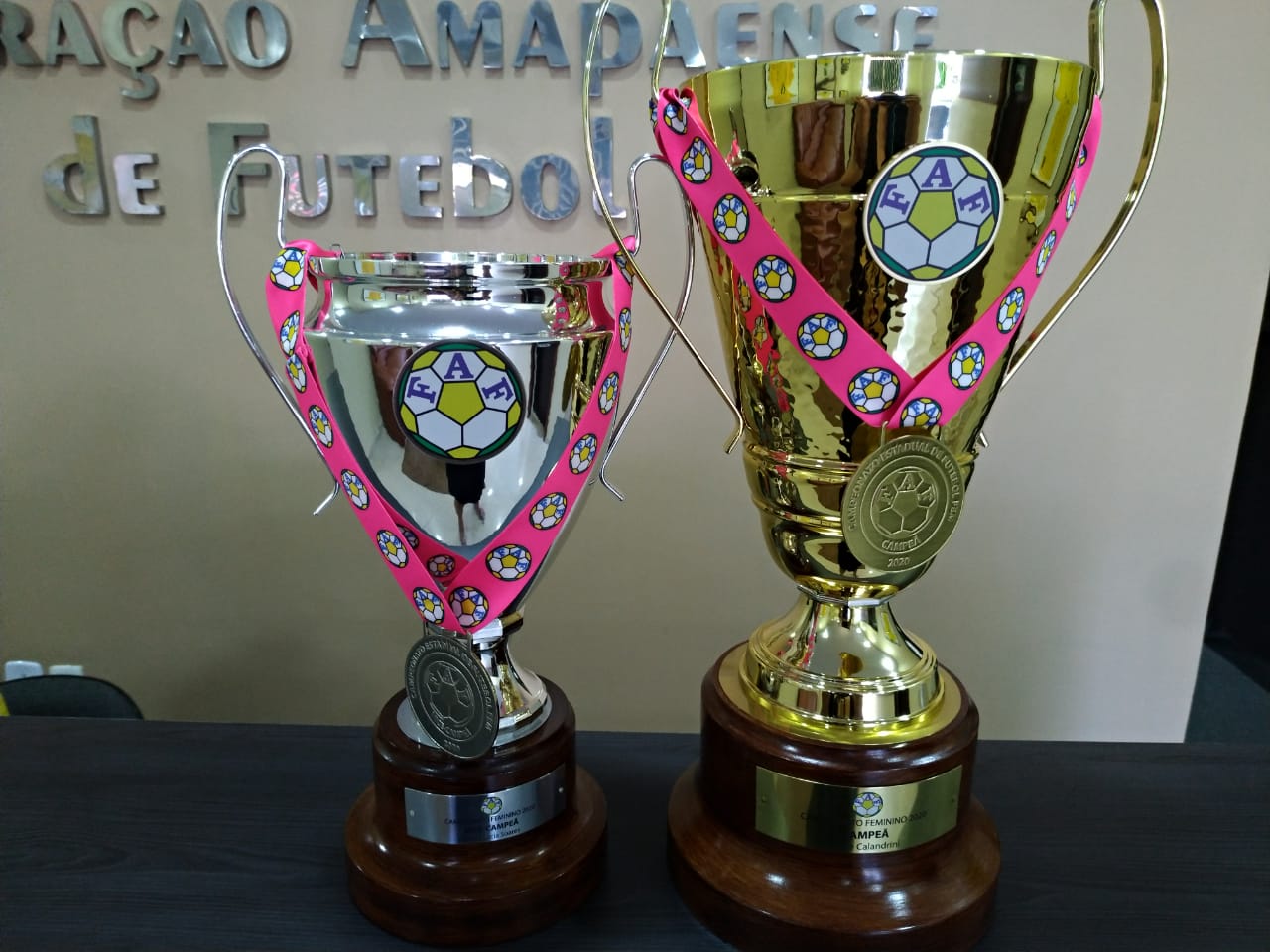 Troféus do Campeonato Feminino 2020 homenageiam mulheres desportistas de carreira do Amapá